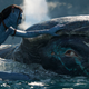 A Na'vi touching a whale